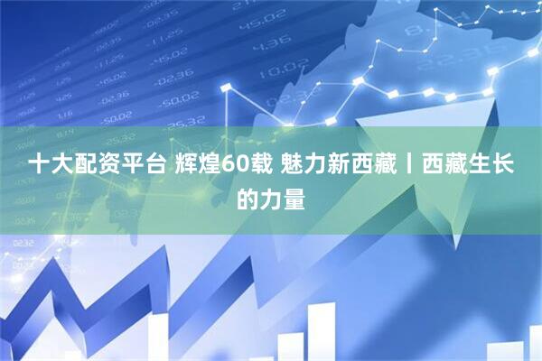 十大配资平台 辉煌60载&#32;魅力新西藏丨西藏生长的力量