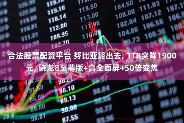 合法股票配资平台 努比亚豁出去, 1TB突降1900元, 骁龙8至尊版+真全面屏+50倍变焦