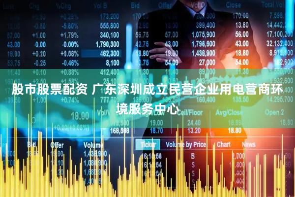 股市股票配资 广东深圳成立民营企业用电营商环境服务中心