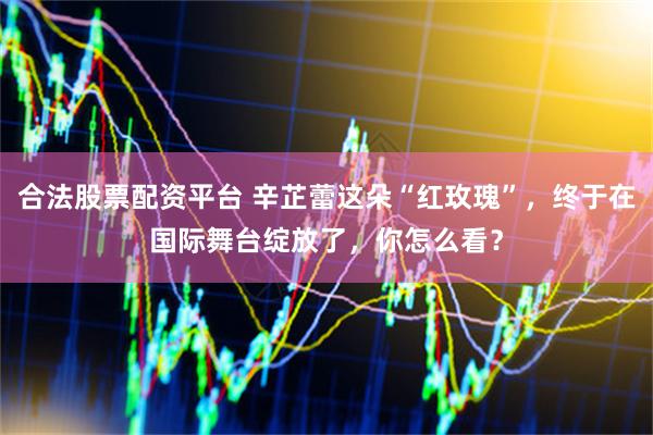 合法股票配资平台 辛芷蕾这朵“红玫瑰”，终于在国际舞台绽放了，你怎么看？