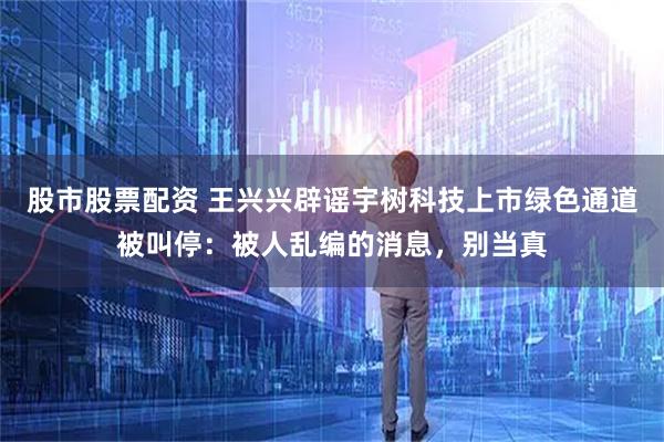 股市股票配资 王兴兴辟谣宇树科技上市绿色通道被叫停：被人乱编的消息，别当真