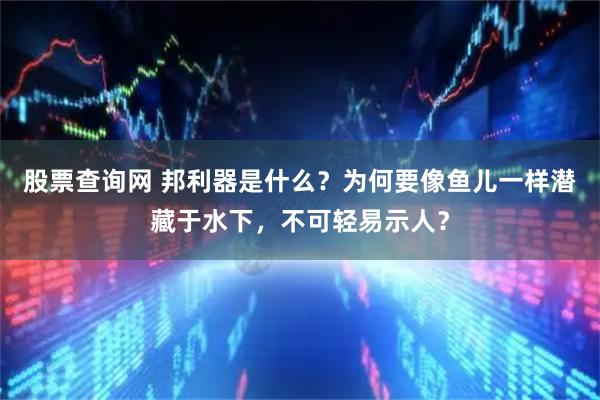 股票查询网 邦利器是什么？为何要像鱼儿一样潜藏于水下，不可轻易示人？